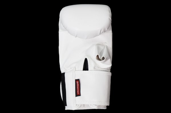 Photo3: BULL TERRIER Punching Gloves 2.0 White (3)