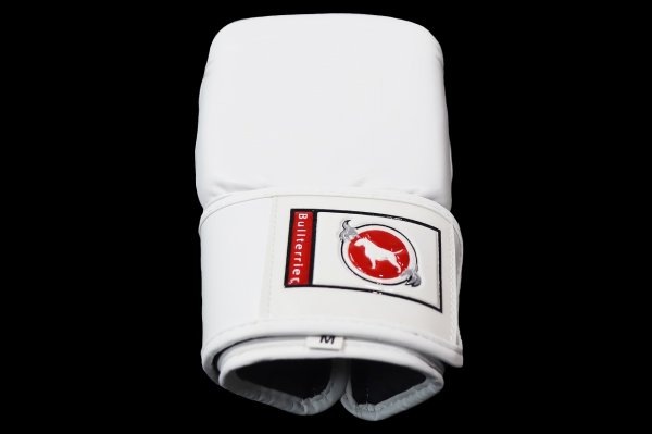 Photo8: BULL TERRIER Punching Gloves 2.0 White (8)
