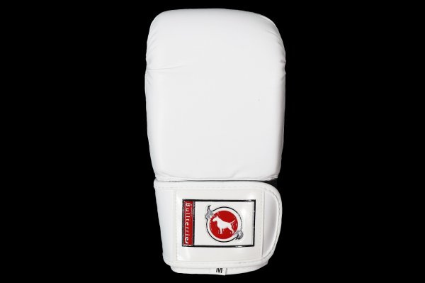 Photo2: BULL TERRIER Punching Gloves 2.0 White (2)