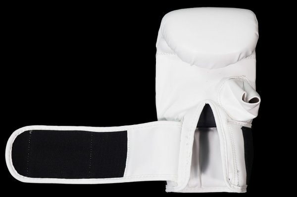 Photo4: BULL TERRIER Punching Gloves 2.0 White (4)