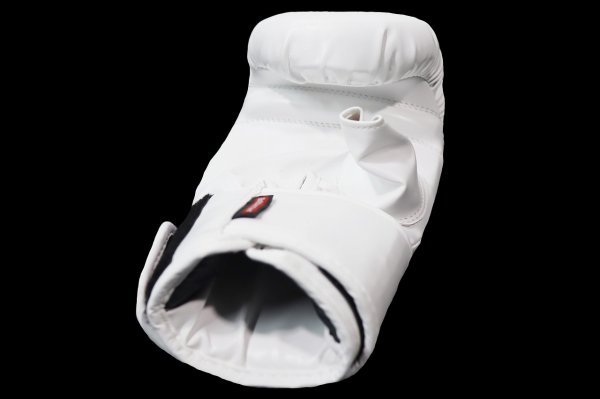 Photo7: BULL TERRIER Punching Gloves 2.0 White (7)