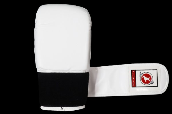 Photo5: BULL TERRIER Punching Gloves 2.0 White (5)