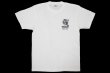 Photo1: BULL TERRIER T-Shirt JAPAN White (1)