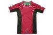 Photo5: BULL TERRIER Rashguard TSUNADEHIME Short Sleeve Vermilion (5)