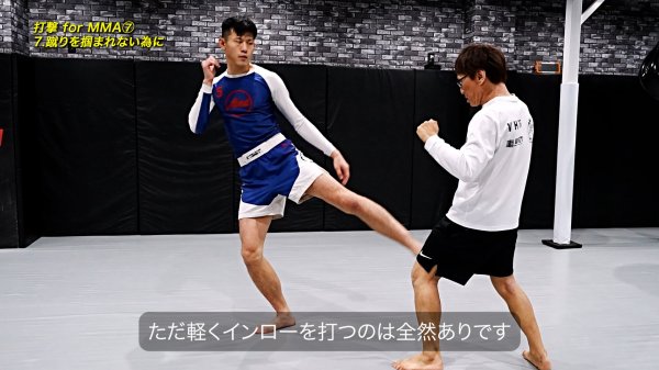Photo8: DVD Shiota "GoZo" Ayumu: MMA Basics from Zero (8)