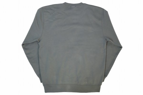 Photo2: BULL TERRIER Sweatshirts Paint Stone Green (2)