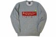 Photo1: BULL TERRIER Sweatshirts Paint Gray (1)