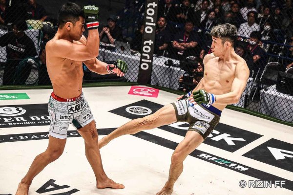 Photo10: BULL TERRIER Spats Houou Black (10)