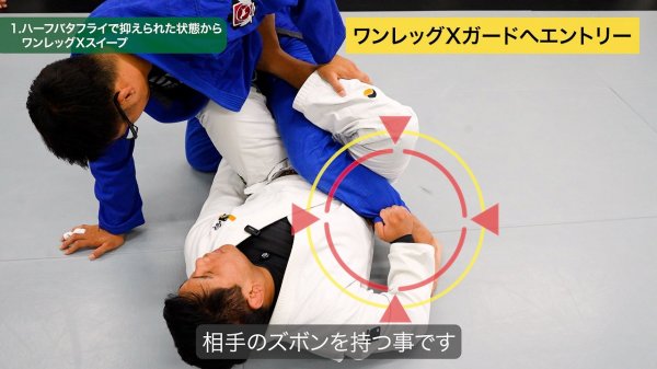 Photo4: DVD Kauan Tanino The Favorite Sweep that Conquered the World (4)