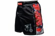 Photo1: BULL TERRIER Fight Shorts ASHURA Black (1)