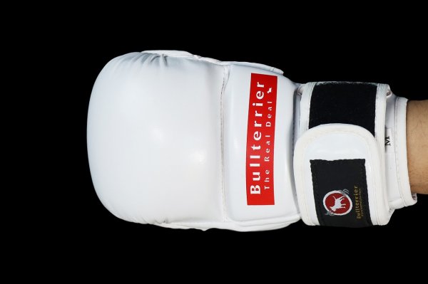 Photo6: BULL TERRIER MMA Gloves BASIC 6oz White (6)
