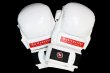 Photo1: BULL TERRIER MMA Gloves BASIC 6oz White (1)