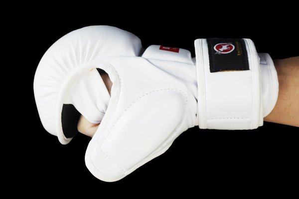 Photo10: BULL TERRIER MMA Gloves BASIC 6oz White (10)