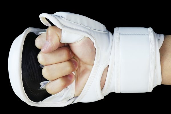 Photo7: BULL TERRIER MMA Gloves BASIC 6oz White (7)