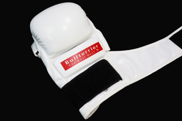 Photo14: BULL TERRIER MMA Gloves BASIC 6oz White (14)