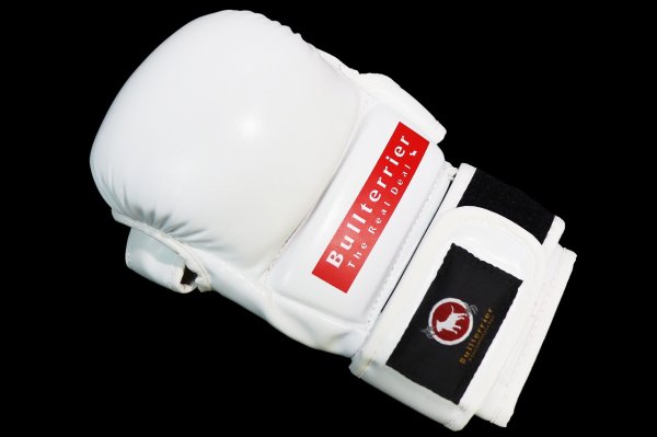 Photo4: BULL TERRIER MMA Gloves BASIC 6oz White (4)