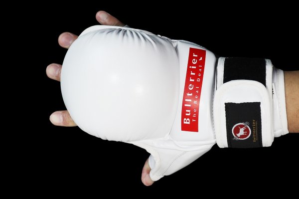 Photo8: BULL TERRIER MMA Gloves BASIC 6oz White (8)