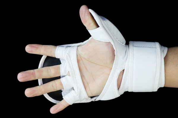 Photo9: BULL TERRIER MMA Gloves BASIC 6oz White (9)