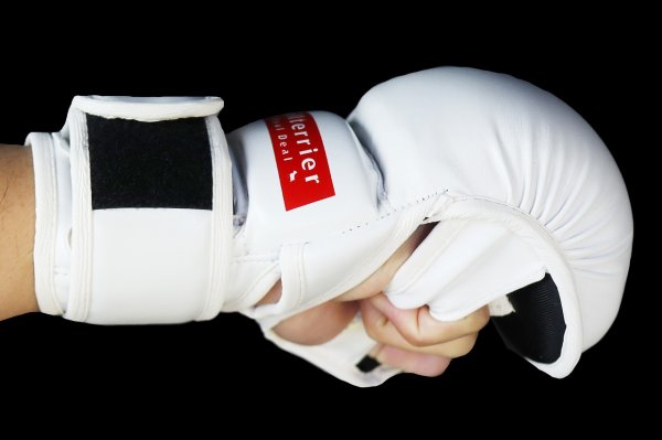 Photo11: BULL TERRIER MMA Gloves BASIC 6oz White (11)