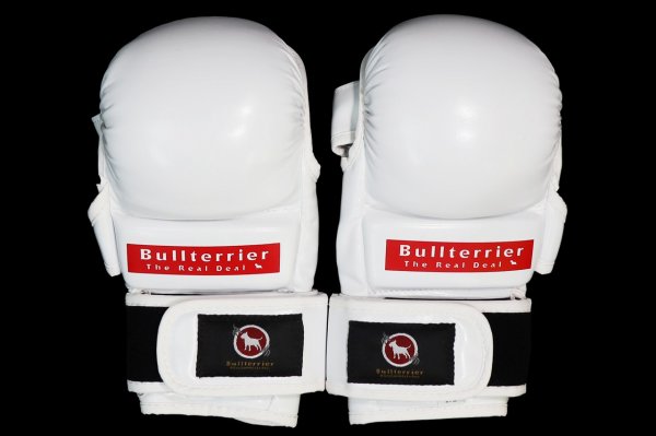 Photo2: BULL TERRIER MMA Gloves BASIC 6oz White (2)