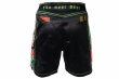Photo3: BULL TERRIER Fight Shorts HOUOU Black (3)