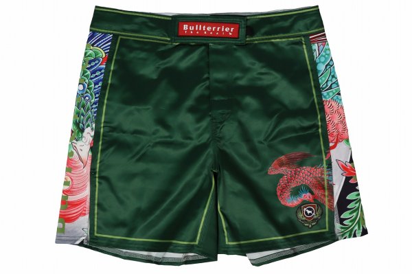 Photo4: BULL TERRIER Fight Shorts HOUOU Green (4)