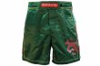 Photo2: BULL TERRIER Fight Shorts HOUOU Green (2)