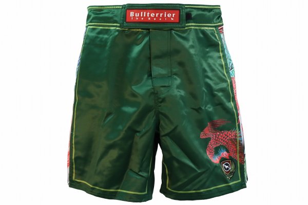 Photo2: BULL TERRIER Fight Shorts HOUOU Green (2)