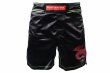 Photo2: BULL TERRIER Fight Shorts HOUOU Black (2)