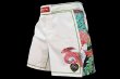 Photo1: BULL TERRIER Fight Shorts HOUOU White (1)