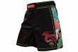 Photo1: BULL TERRIER Fight Shorts HOUOU Black (1)