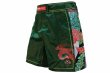 Photo1: BULL TERRIER Fight Shorts HOUOU Green (1)