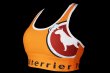 Photo8: BULL TERRIER Ladies Bra Top 2.0 Orange (8)