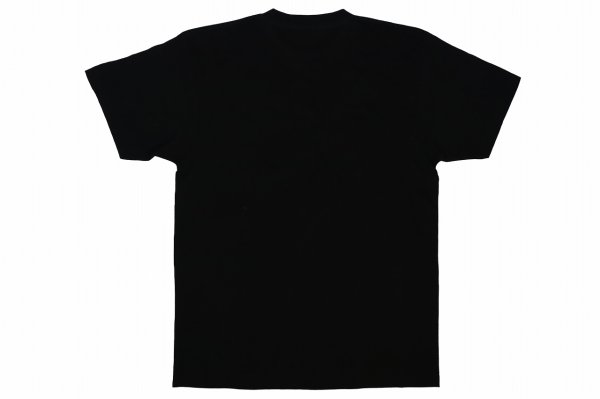 Photo2: BULL TERRIER T-Shirts PAINT Black (2)