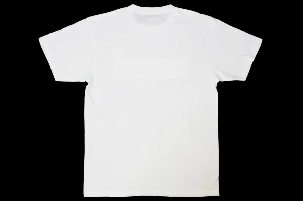 Photo2: BULL TERRIER T-Shirts PAINT White (2)