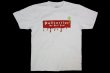 Photo1: BULL TERRIER T-Shirts PAINT Ash (1)