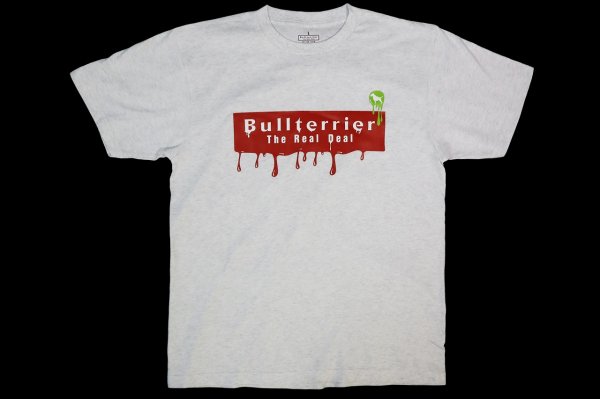 Photo1: BULL TERRIER T-Shirts PAINT Ash (1)