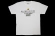 Photo1: BULL TERRIER KLEBER KOIKE KING T-Shirts White (1)