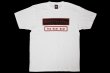 Photo1: BULL TERRIER T-Shirt WBOX White/Black/Red (1)