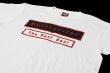 Photo3: BULL TERRIER T-Shirt WBOX White/Black/Red (3)