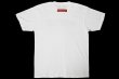 Photo2: BULL TERRIER T-Shirt WBOX White/Black/Red (2)