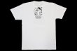 Photo2: BULL TERRIER x KLEBER KOIKE 400g T-Shirt White (2)