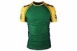 Photo1: BULL TERRIER Rashguard TRADITIONAL Short Sleeve Green/Yellow/Blue (1)