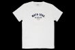 Photo1: BULL TERRIER T-Shirt MATA LEAO White (1)