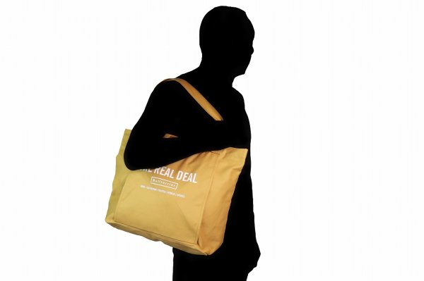 Photo8: BULL TERRIER Training TOTE Bag Camel (8)