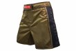 Photo1: BULL TERRIER Fight Shorts RANK 3.0 Brown  (1)
