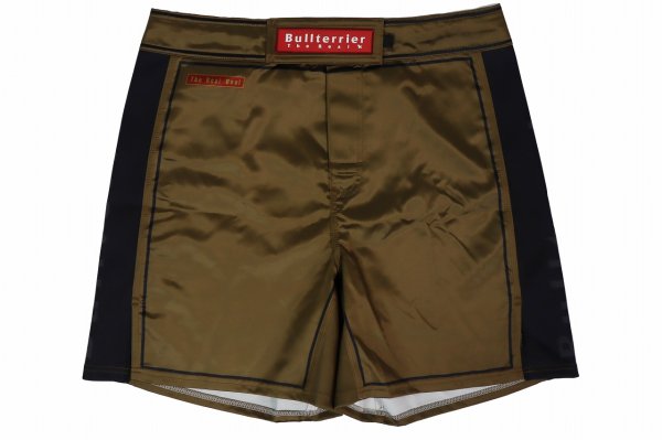 Photo4: BULL TERRIER Fight Shorts RANK 3.0 Brown  (4)