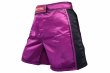 Photo1: BULL TERRIER Fight Shorts RANK 3.0 Purple (1)