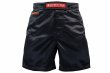 Photo2: BULL TERRIER Fight Shorts RANK 3.0 Black (2)