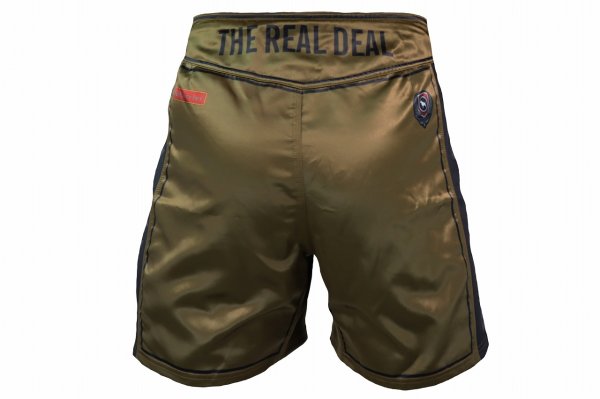 Photo3: BULL TERRIER Fight Shorts RANK 3.0 Brown  (3)